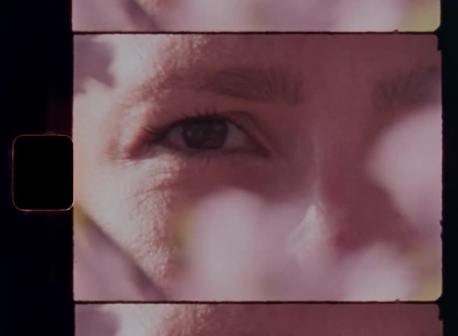 Brown female eyes in closeup of a young woman appear between blurred flowers of a blossoming pink cherry tree with a vintage look on nostalgic Super 8 mm film footage
