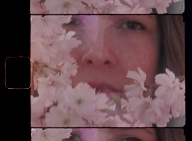 Hand-held closeup portrait of female model or pretty girl with brown eyes and long hair appearing among branches of pink flowers with a retro hipster fashion and beauty vibe and soft light with lens flare