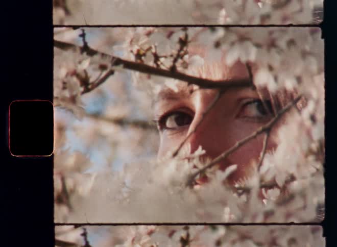 Handheld Super 8 retro closeup footage of brown eyes of a pretty brunette woman looking or peaking through the branches of blossoming cherry tree or blackthorn bush with tempting or seductive facial expression