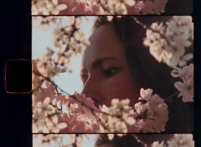 A woman gazes peacefully through blooming spring branches with her face framed by delicate blossoms and flowers while she is looking down with a sad but beautiful and melancholic mood while contemplating