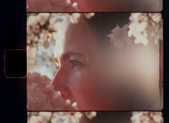 Soft and dreamy Super 8mm close-up portrait of a young woman partly behind flowers of a flowering cherry tree or blossoming plant outdoors during a warm and sunny springtime afternoon as she looks into the distance