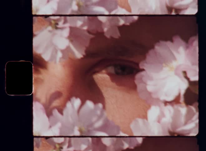 Extreme close up portrait of a young man standing behind a flowering plant outdoors during daytime while the sun shines onto his face as the pink flowers cover his skin as he opens his eyes on Super 8mm