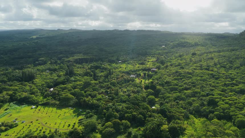 A large farm surrounded by forest and green vegetation at midday