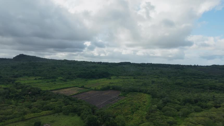 Flying over a lush green landscape