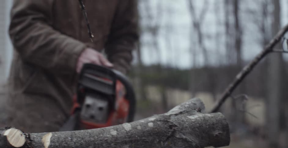 A man is chainsawing some branches apart