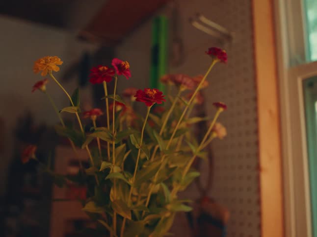 A flower plant is positioned next to several tools