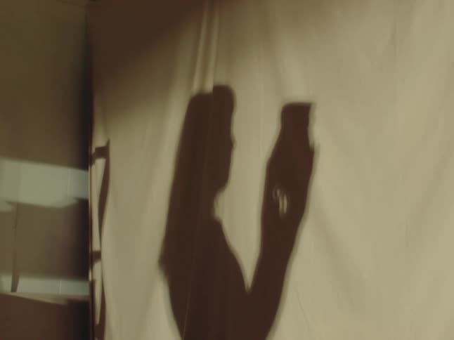 Shadow of a person holding a pot