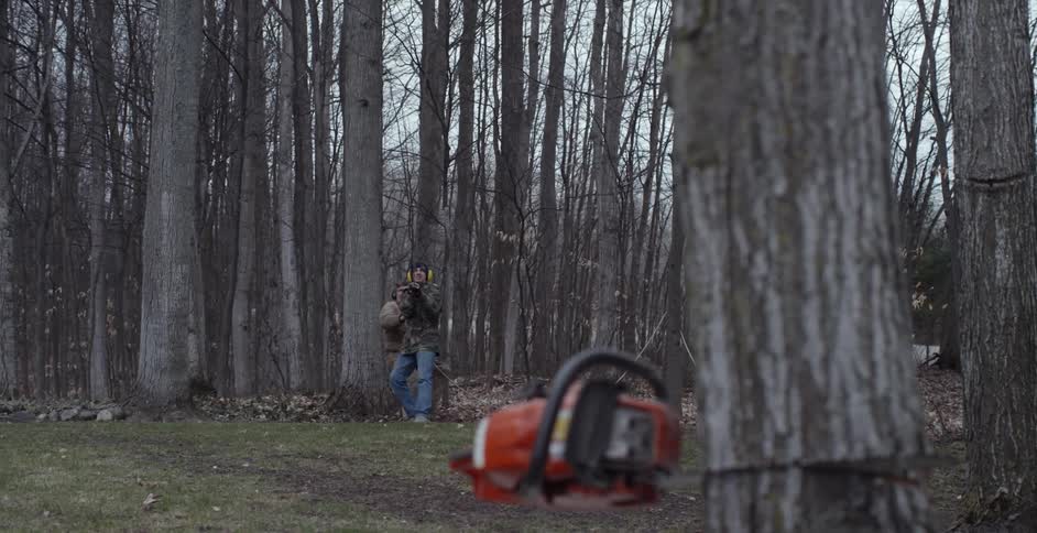 Two men pull a rope to make a tree fall