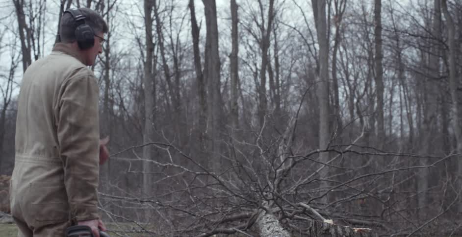 A man chainsaws tree falls down