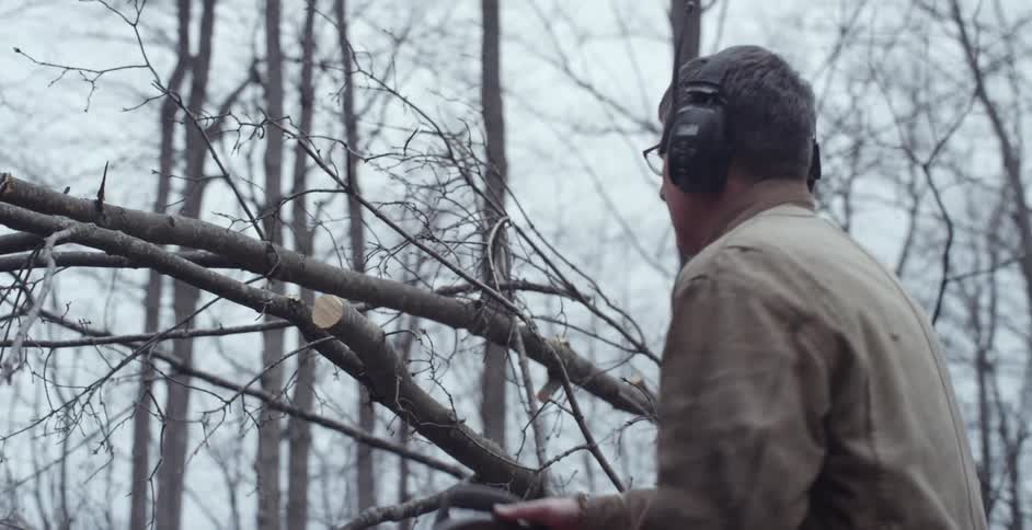 A man is chainsawing branches