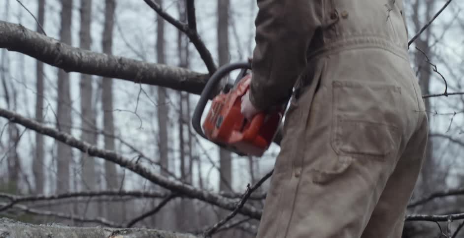 A man uses a chainsaw to cut off tree branches