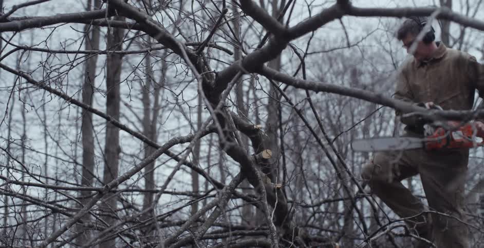 A man uses a chainsaw to cut branches
