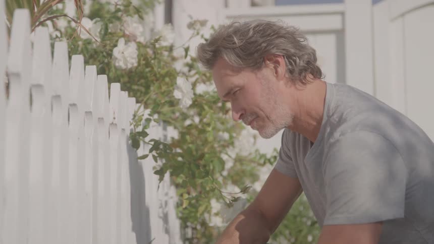 A man carefully paints a white picket fence beside blooming white flowers