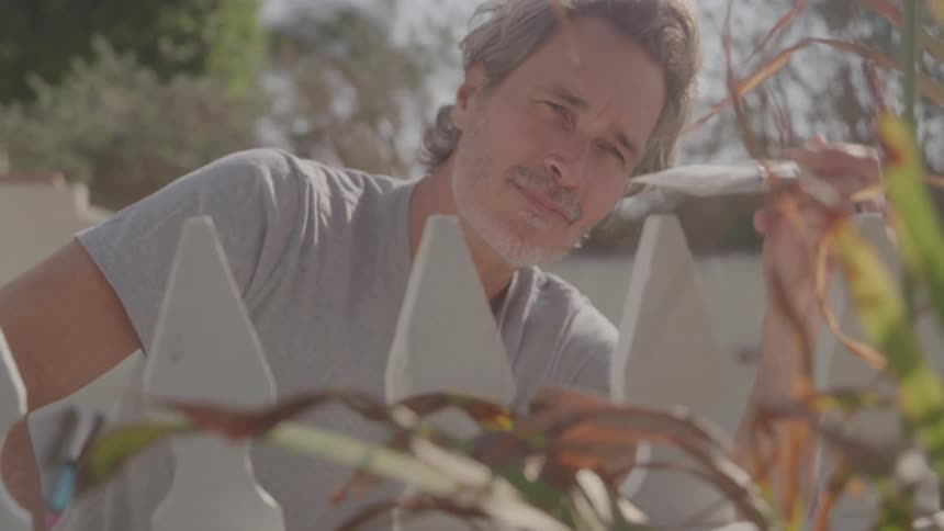 A middleaged man outdoors paints his fence white with a brush surrounded by plants at midday