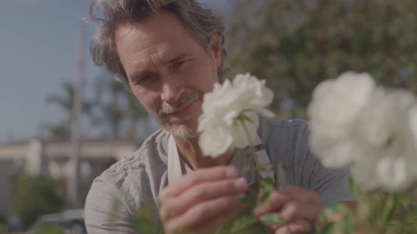 A middleaged man in a garden inspects a flowering plant at midday