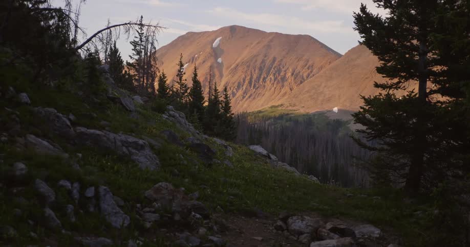 Rocks and trees cover a mountainside
