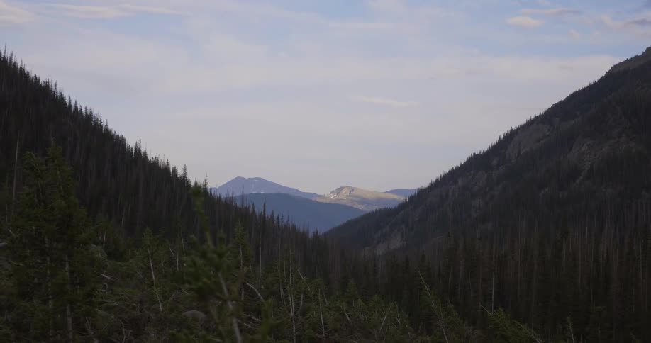 Tree tops line the mountain