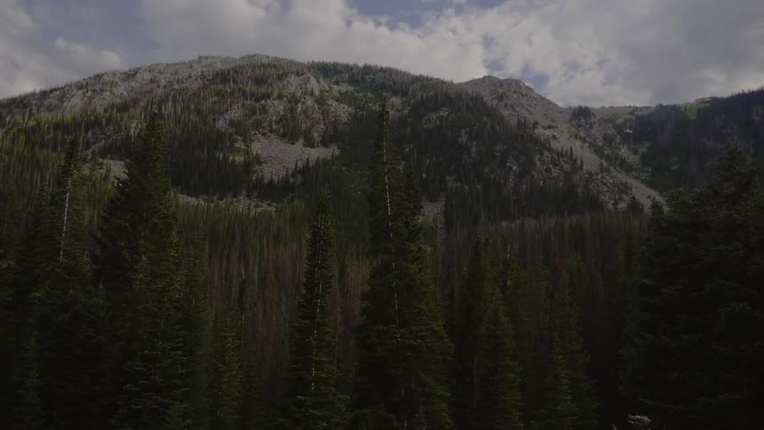 Trees line the land in front of a mountain