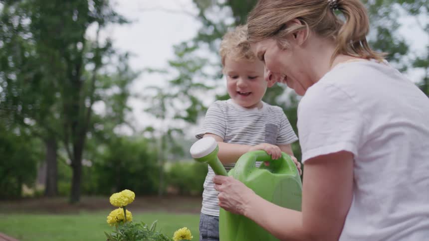A mother and son water the yellow flowers