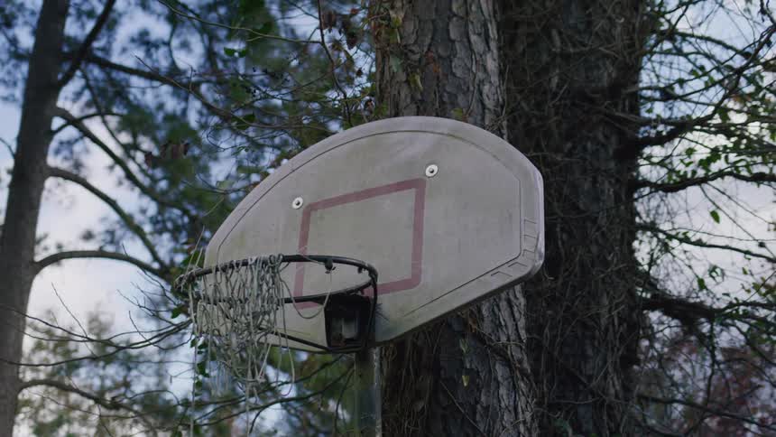 Worn basketball hoop with a damaged net attached to a tree