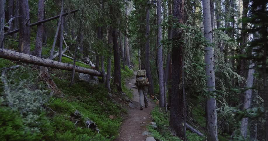 A hiker walks through a mountain trail