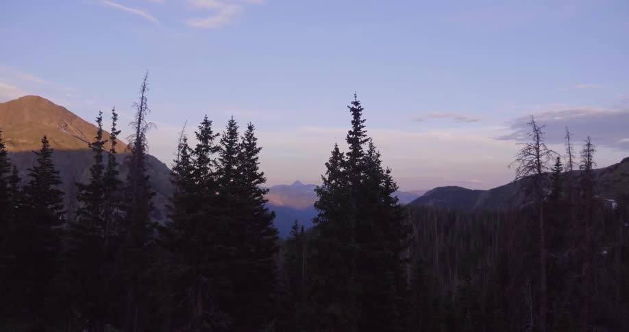 Trees sway lightly atop a mountain