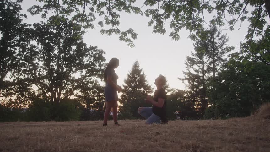The video shows a silhouette of a couple in a grassy field with trees around them at sunset the man is kneeling on one knee in front of the woman who is standing as if he is proposing