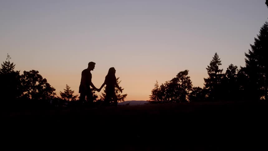 A silhouetted couple holds hands as they walk through a forest of darkened trees