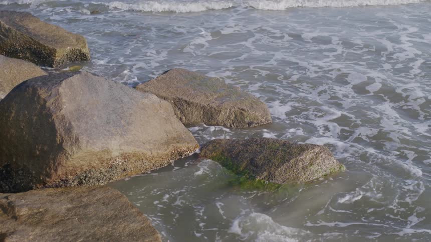 Rocks covered with algae are washed by the ocean waves