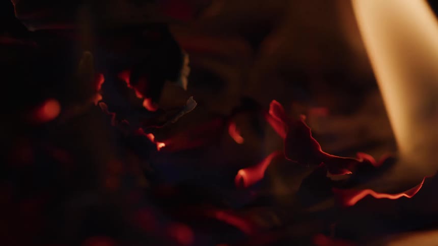 Close up of object shriveling up as its being burned by flames