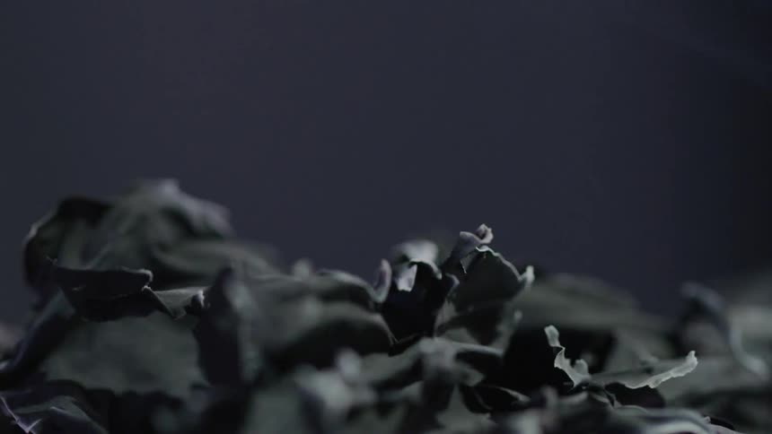 Burnt ashes with smoke against a dark background
