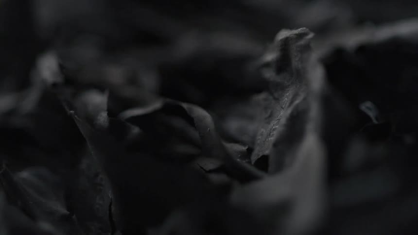 A close up of some black thing
