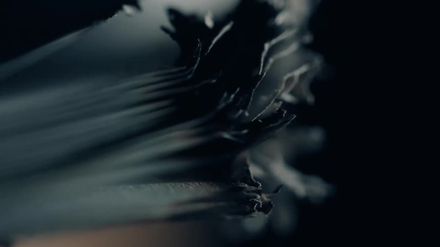 Pages of documents burned at the edges