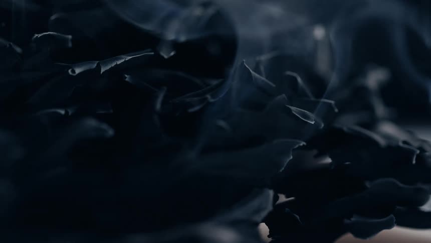 A pile of charred curled paper smolders gently in low light with faint wisps of smoke