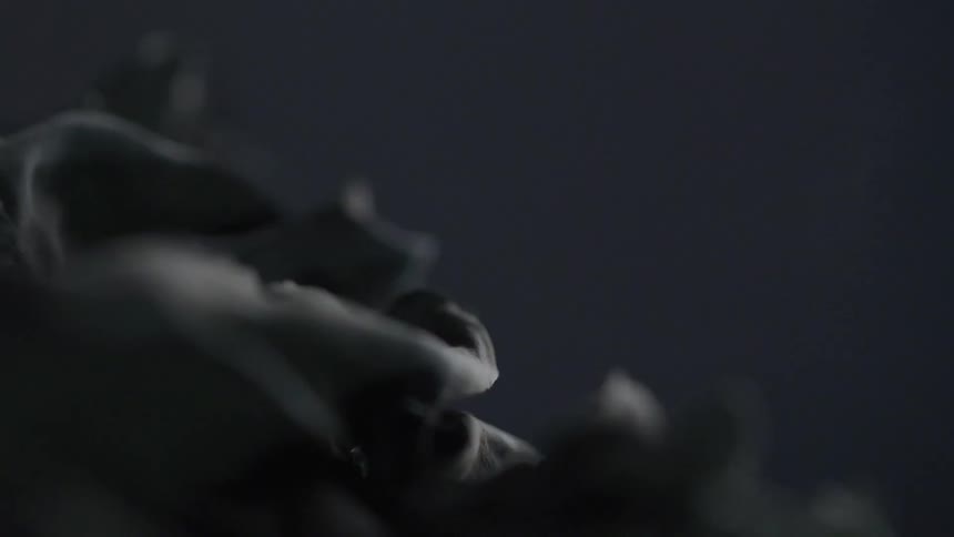 Soft smoke or mist curls around dark textured leaves in a dim setting
