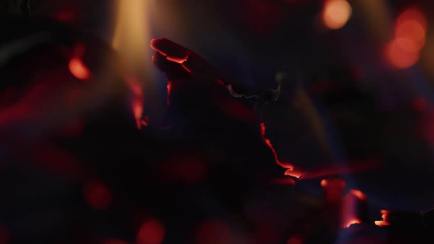 Glowing embers shine in shades of red and orange in the dark