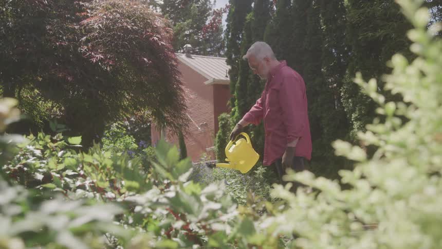 A man is watering plants in a sunlit garden