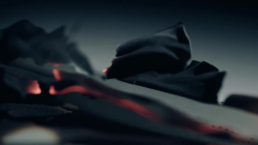 A closeup of curling charred paper captures the textures and shadows of a smoldering burn