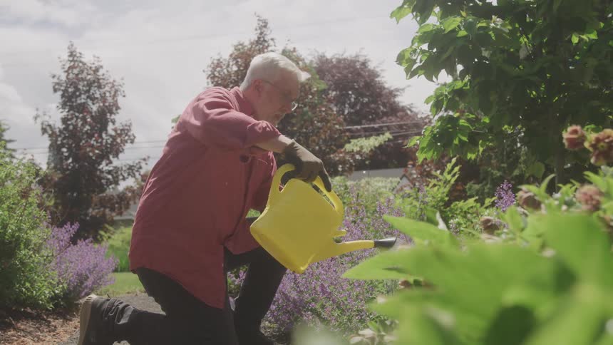 An elderly man kneels while watering plants in a garden