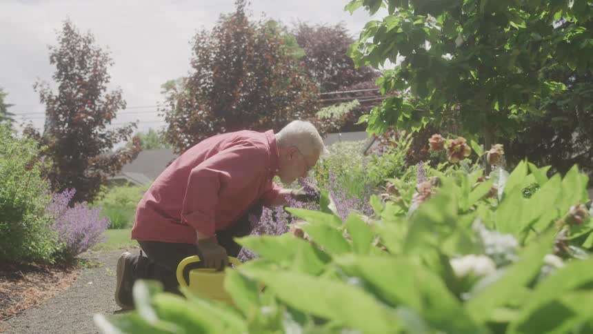 An elderly man kneels while tending to plants in a garden