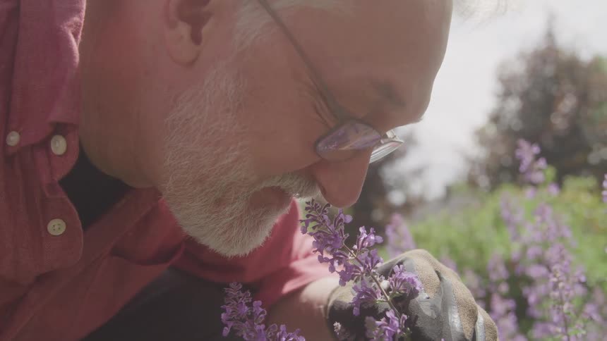A man with a beard and sunglasses wearing a red shirt is seen in a closeup shot smelling a purple flower in a garden