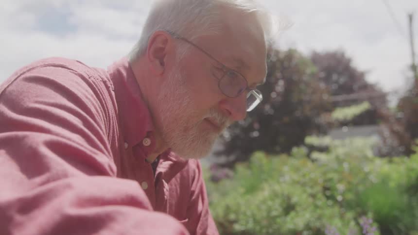 A middle aged man with grey hair and a beard wears a pink button up shirt and glasses while gardening