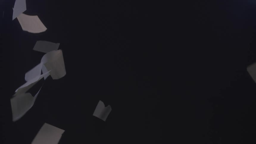 Abstract falling white leaves on a dark background