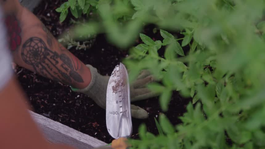 Person using a gardening trowel to prepare the soil in a garden bed with green plants