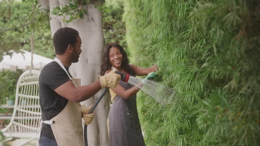 A man and woman wearing aprons water a tall green hedge together in a garden