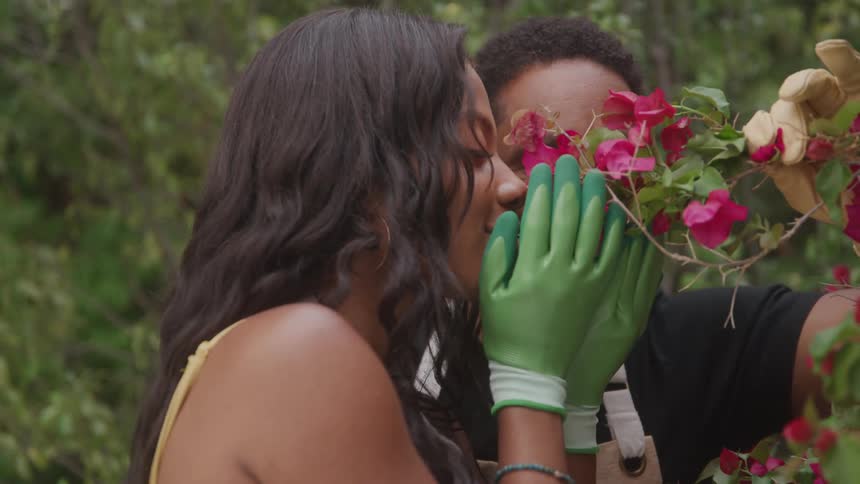 A man and a woman in a garden smell a rose growing from the plant at midday