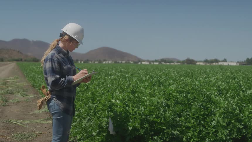 A woman wearing a hard hat and flannel shirt takes notes in a lush green field under a clear blue sky