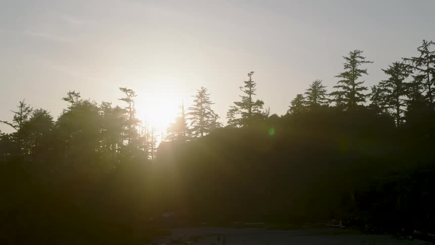 A stunning shot of the sun setting or rising behind a forest creating a lens flare and casting the trees in a beautiful silhouette
