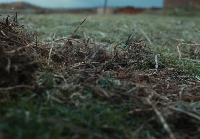 Hoe pierces the dry soil among roots and grass