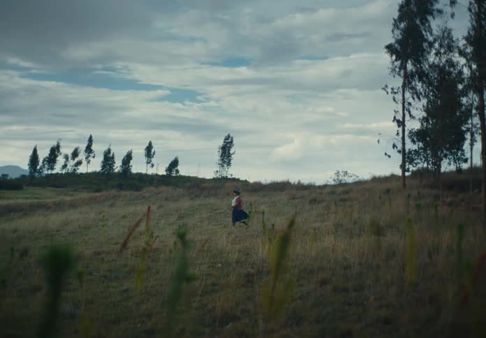 A woman wearing a traditional white blouse a dark blue skirt and a straw hat is walking through a dry grassy field toward a line of trees on a cloudy day